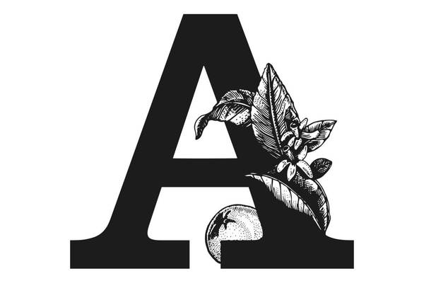 Aperitivo BAR - Finalista Bar Design Awards 2018